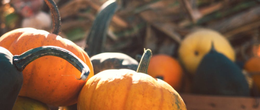 A group of pumpkins 
