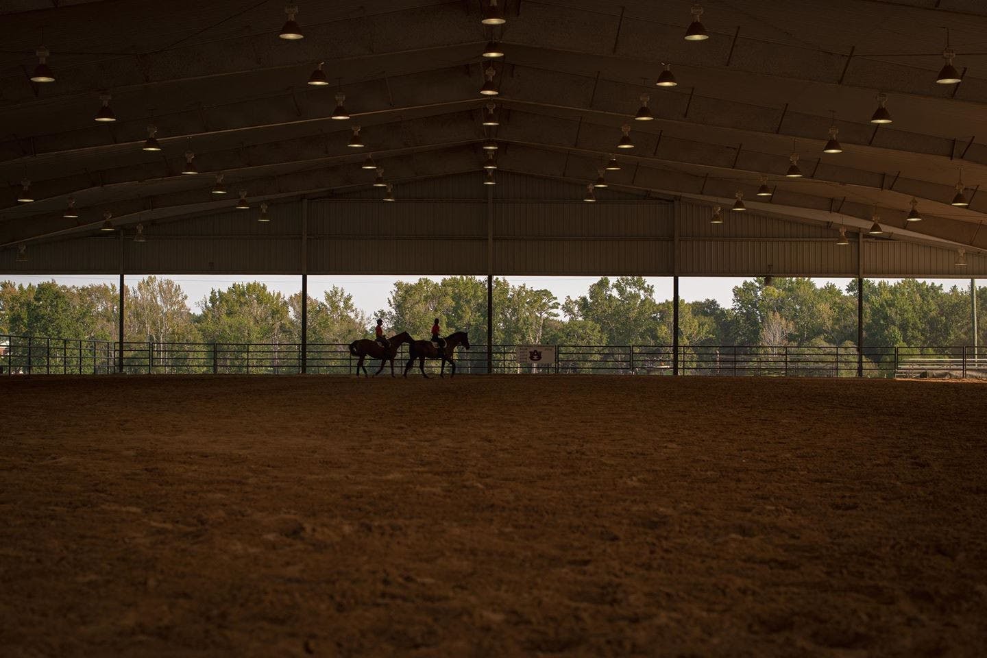 Auburn equestrian practice. Photo courtesy of Shanna Lockwood/AU Athletics