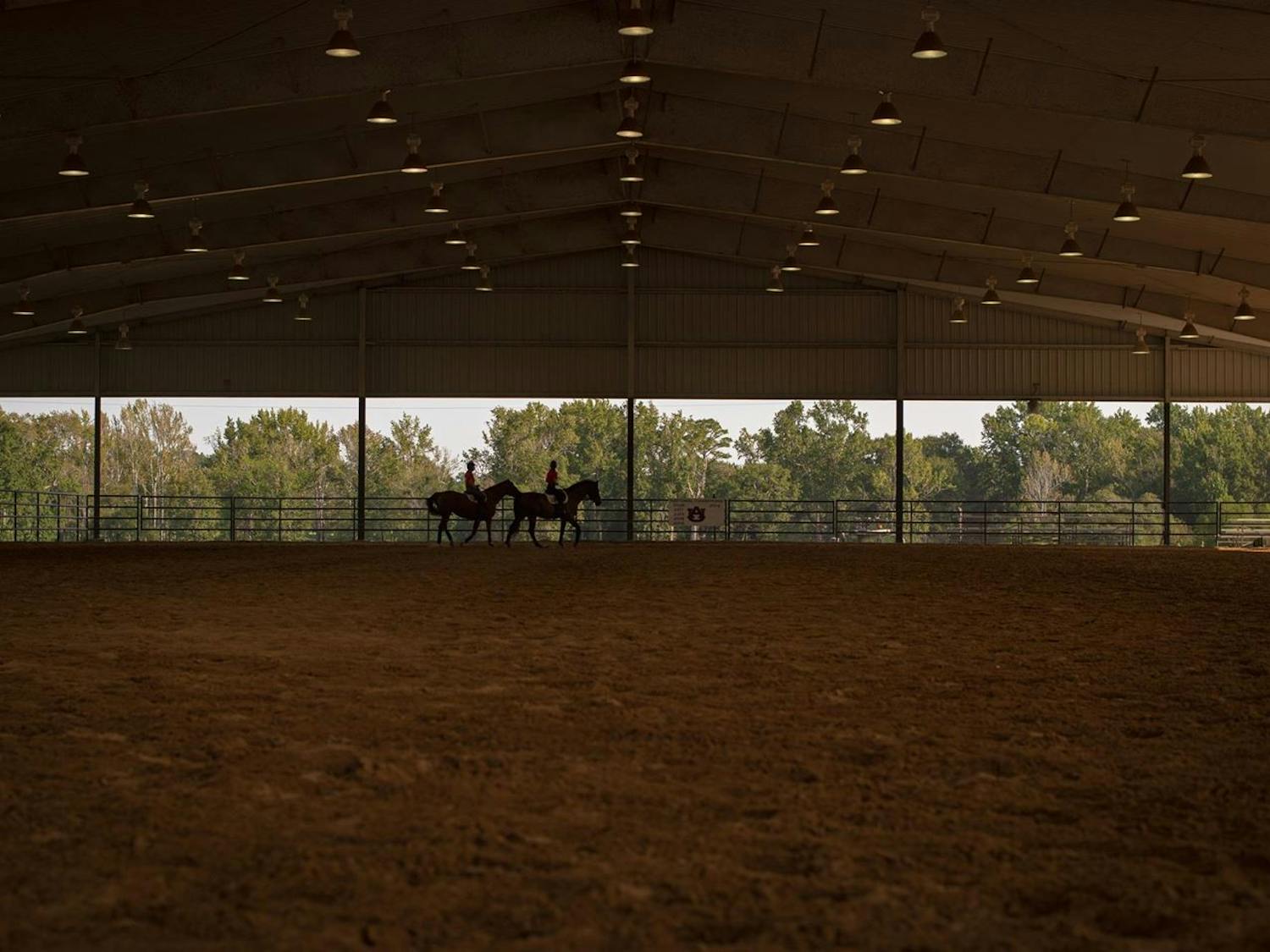 Auburn equestrian practice. Photo courtesy of Shanna Lockwood/AU Athletics