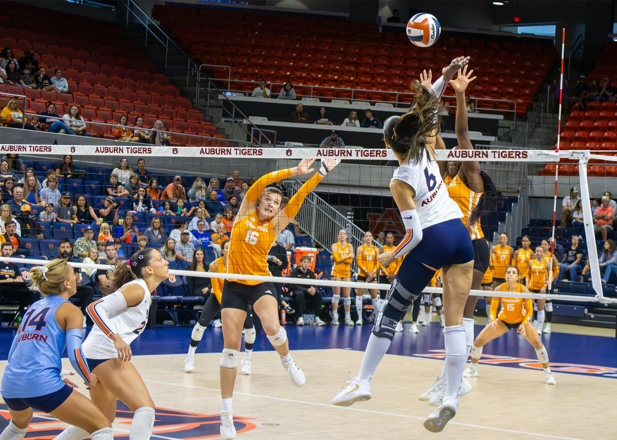 Auburn volleyball’s Anastasija Ivkovic jumps at the net to attack the ball against Tennessee at Neville Arena.