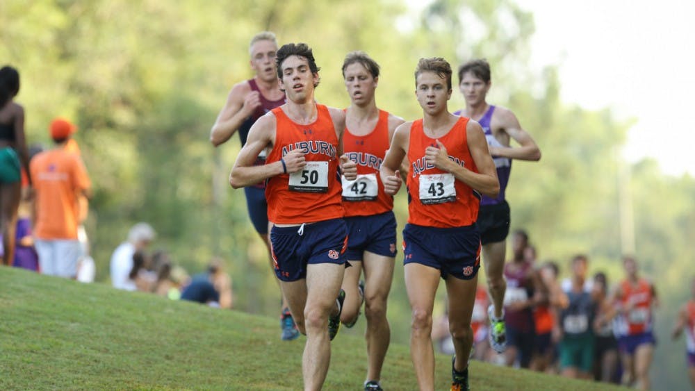 Auburn Cross Country competes at Louisville Cross Country Classic 