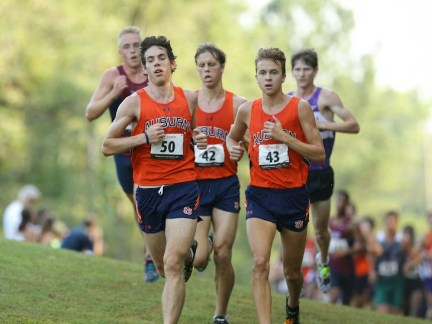 Auburn Cross Country competes at Louisville Cross Country Classic