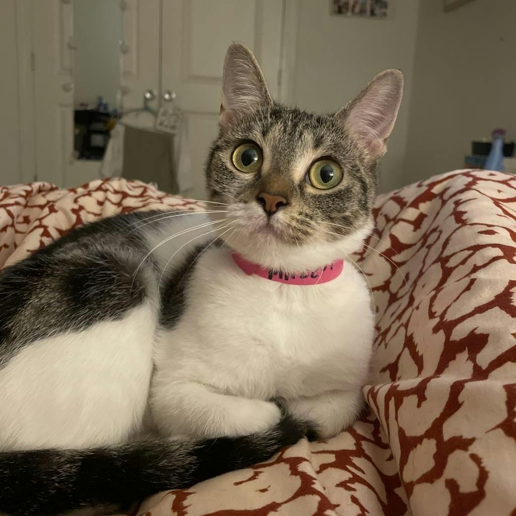 251255791_10158403804396845_4168231577136361368_n (1).jpg