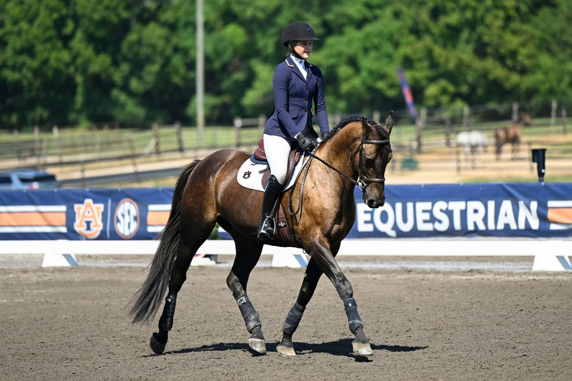 Auburn Eq. for UGA .webp