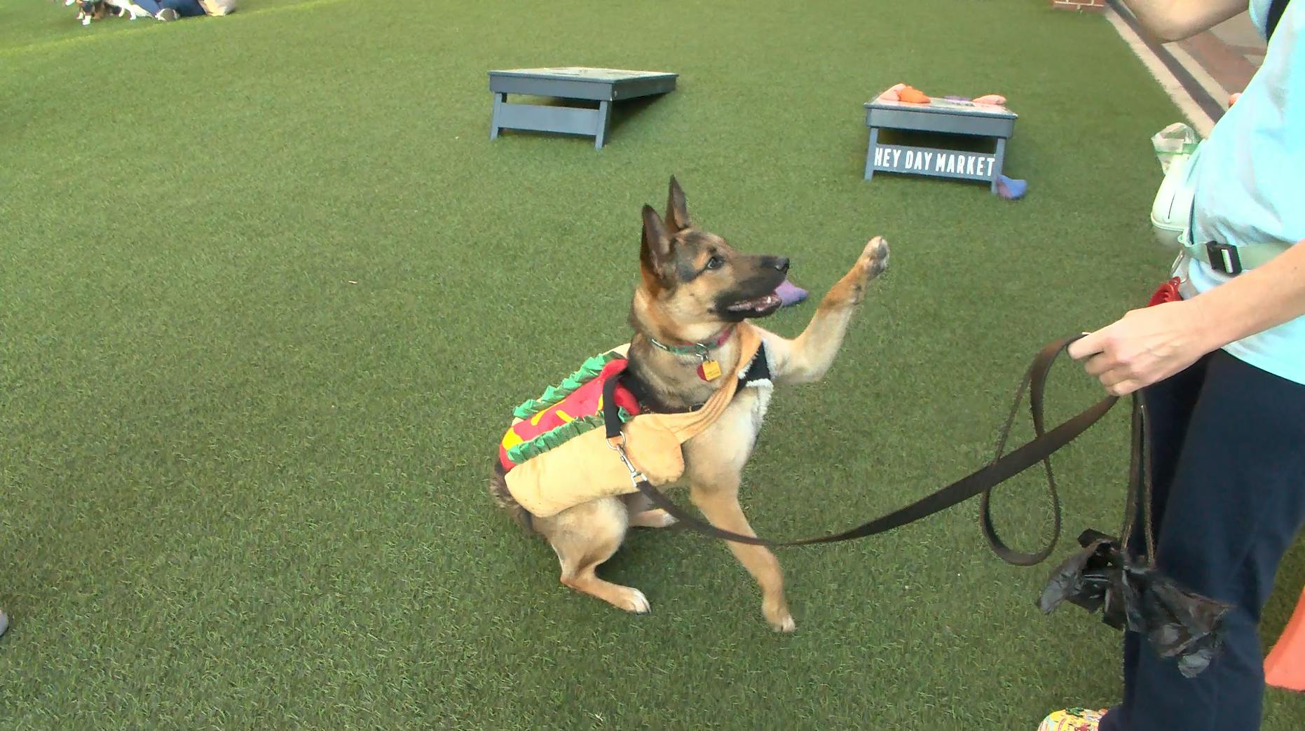 Screenshot 2024-10-28 at 3.52.32 PM.png