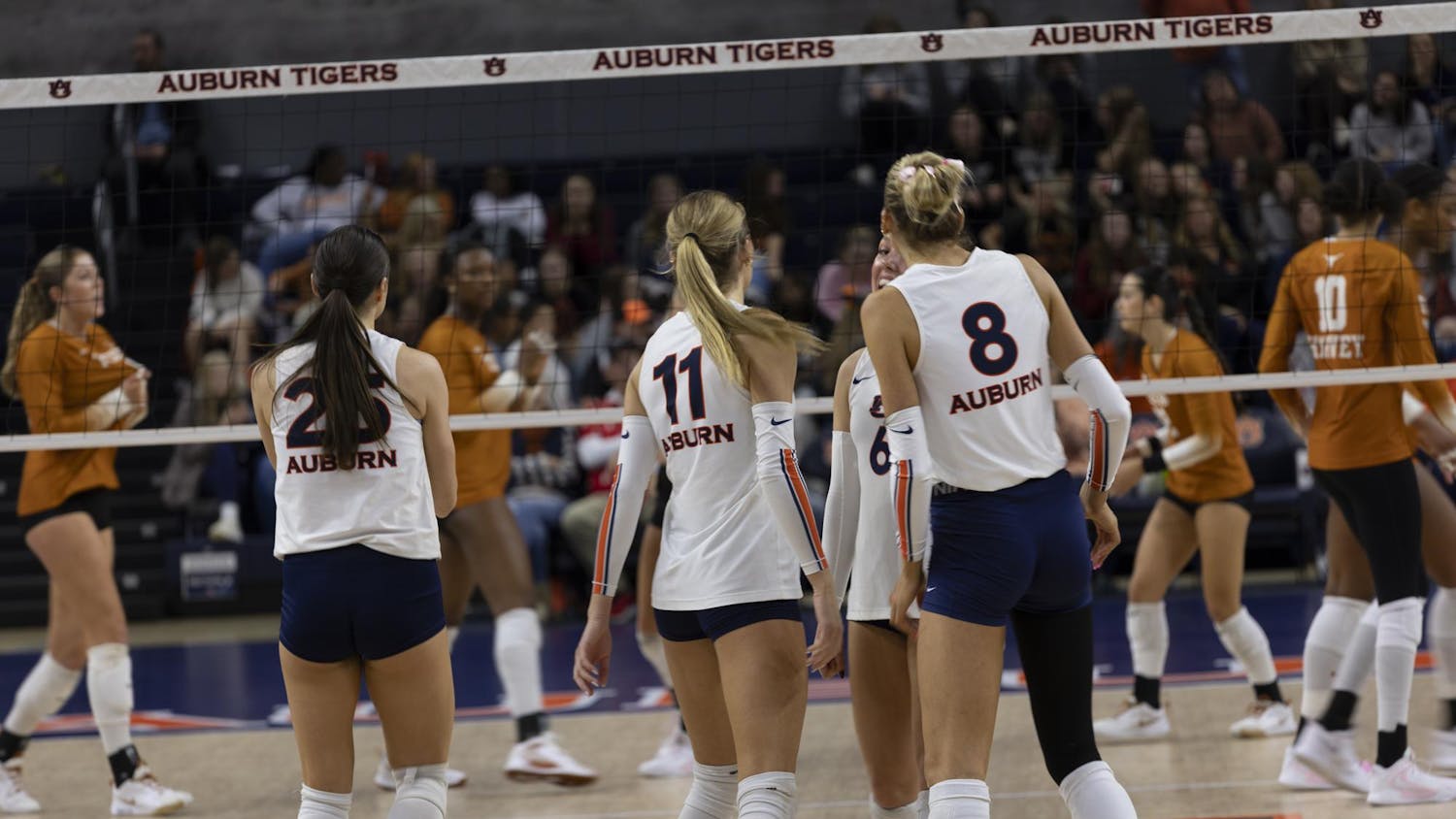 A group of Auburn University volleyball players wearing white jerseys and navy shorts huddle together near the net during a match against a team in burnt-orange uniforms. The players stand on an indoor court with the Auburn Tigers logo visible on the floor, and spectators fill the stands in the background.