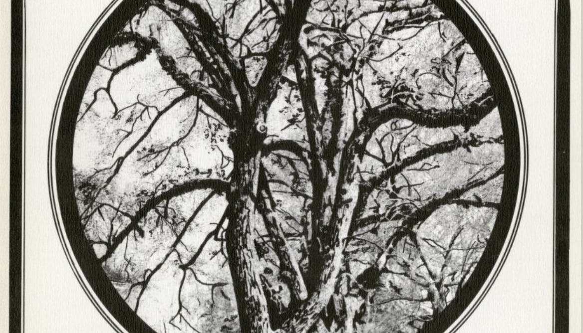 vol2iss3-spring1975 cover