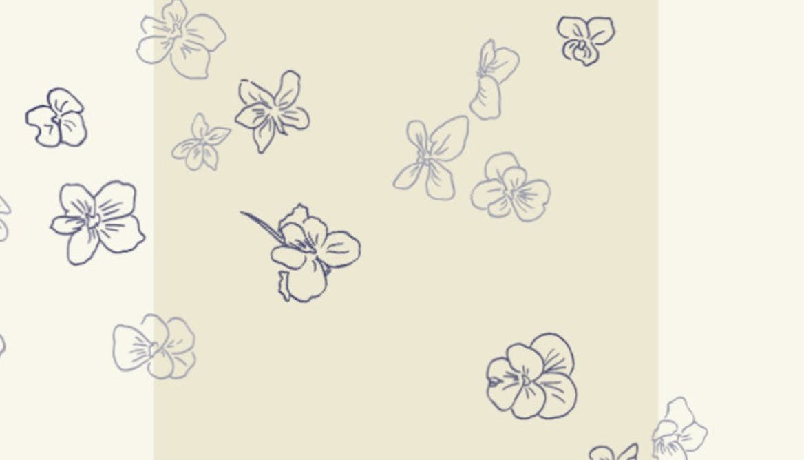 vol47iss3-summer2021-violets cover