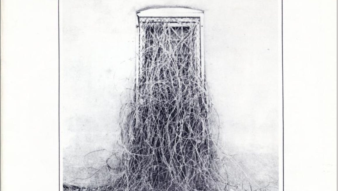 vol6iss2-winter1979 cover