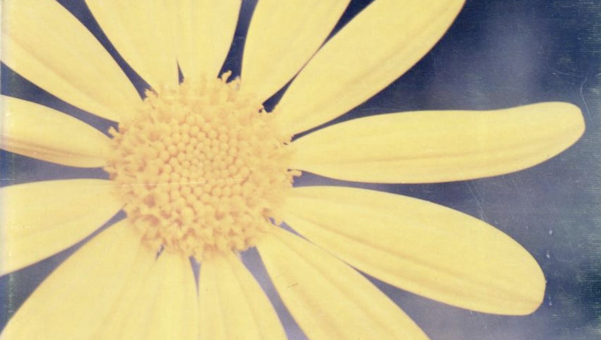 vol3iss3-spring1976 cover