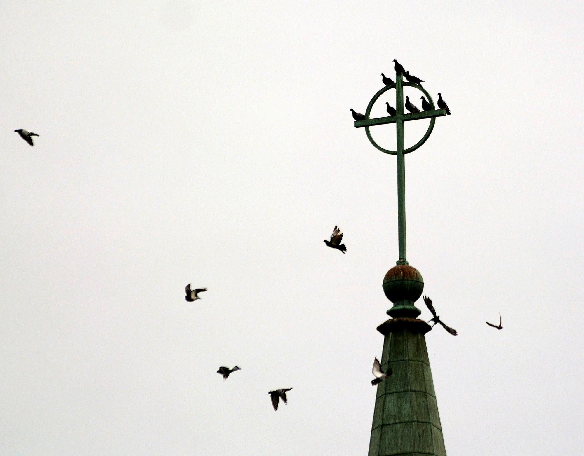 Untitled_Adam D. Sparks_Photography_Spring 2016