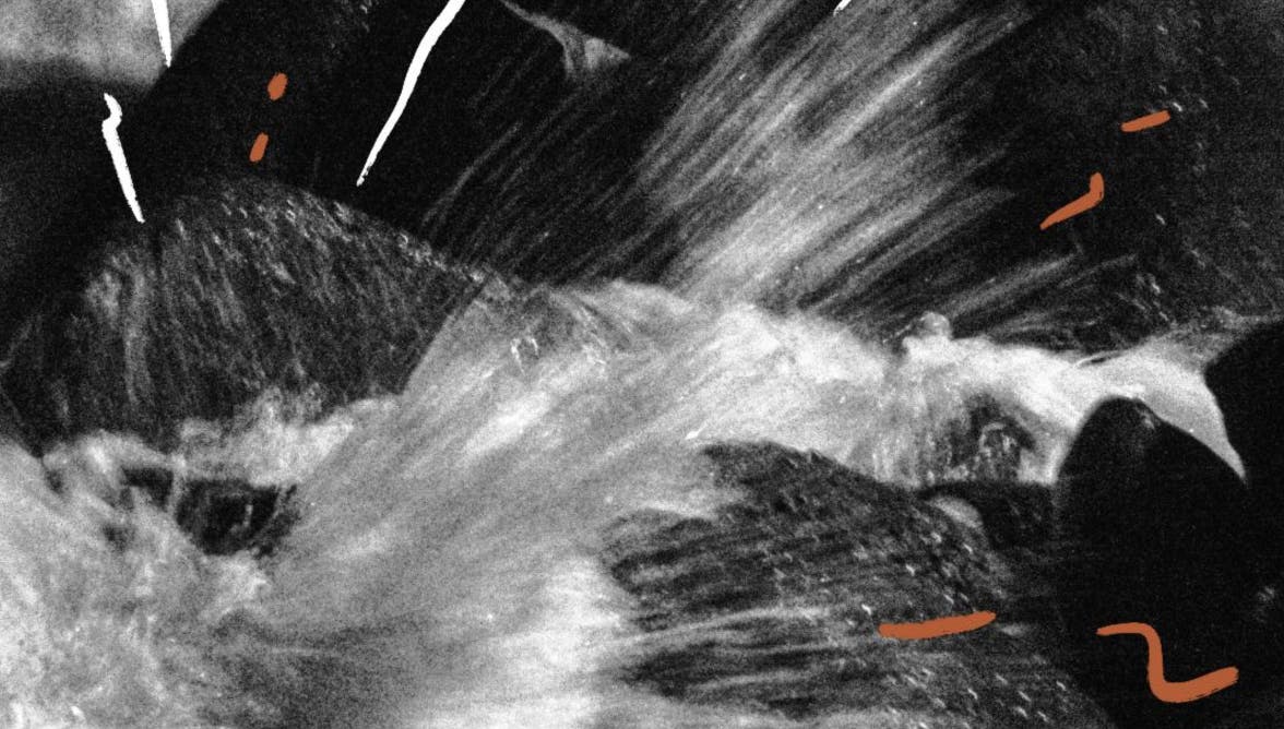 vol46iss2-spring2020 cover