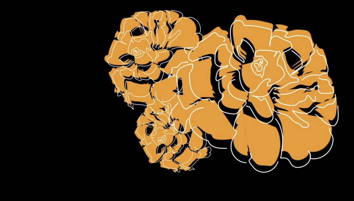 vol46iss3-summer2020-marigolds cover