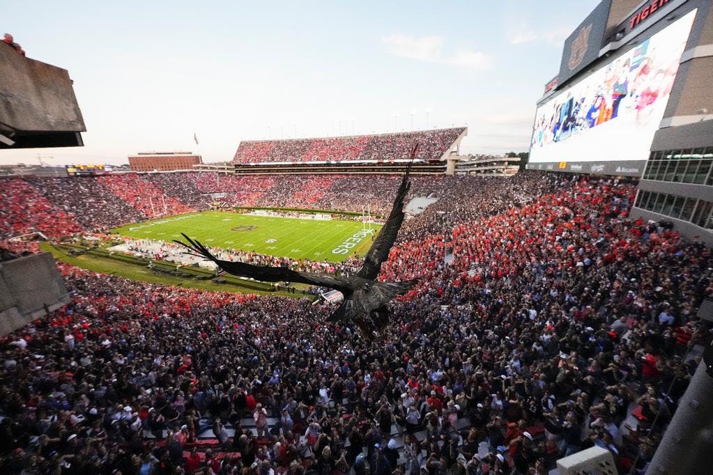 Eagle_Flight_20231021_FB_vs_OleMiss_ZB_064.jpg