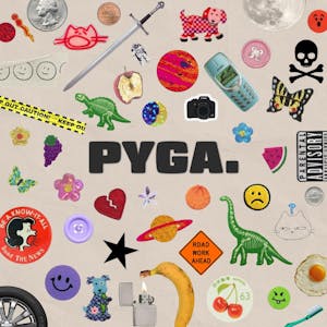 Album art for PYGA