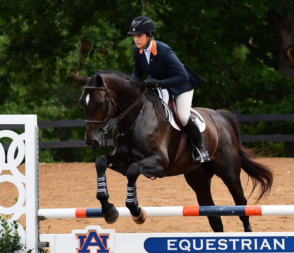 Auburn Equestrian