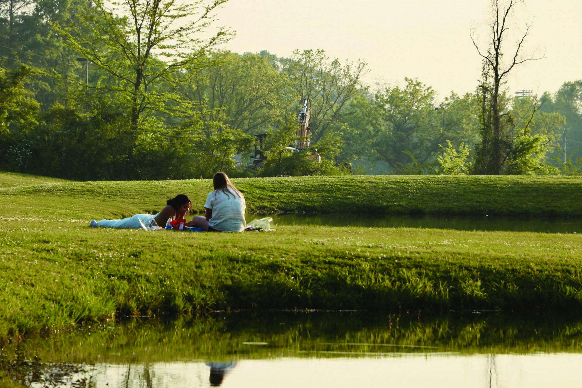 enjoying the sunshine