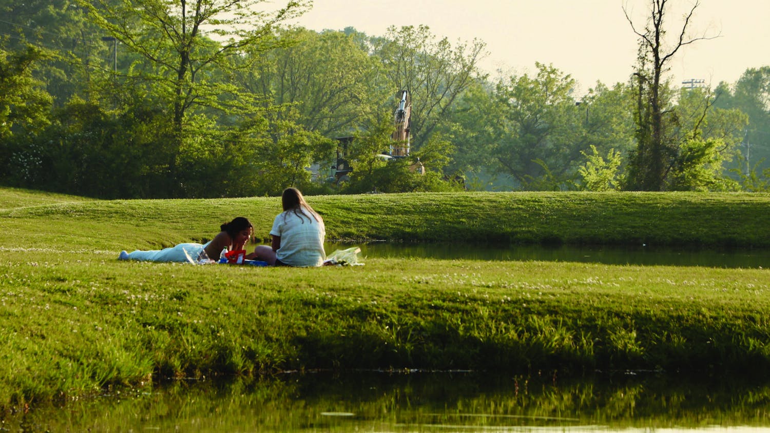 enjoying the sunshine