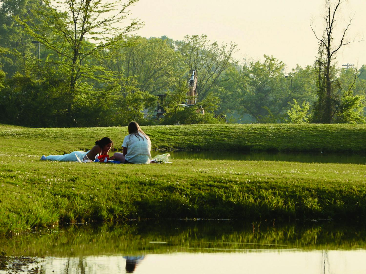 enjoying the sunshine