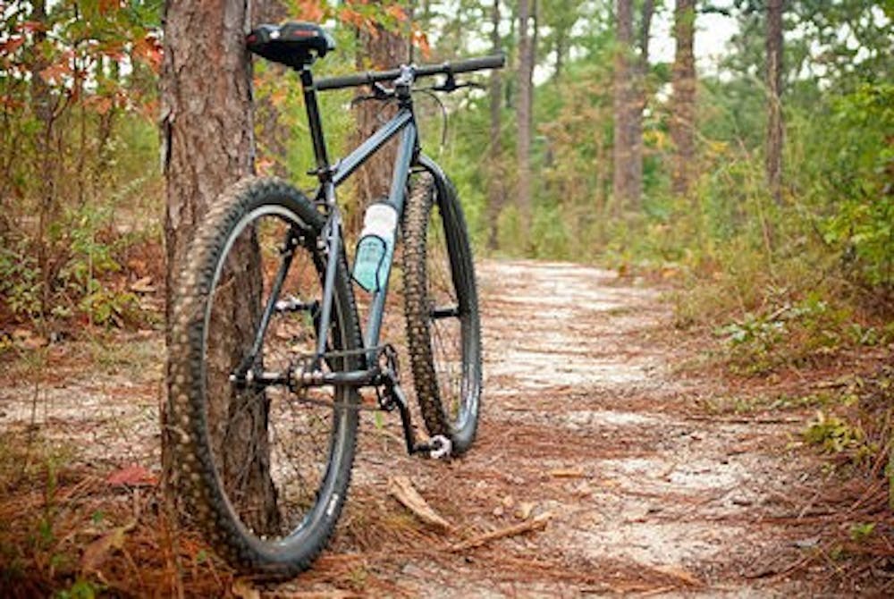 A bike leans against a tree in Tuskegee National Forest