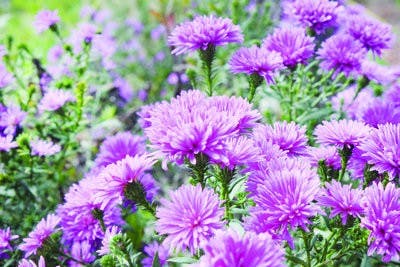 (Alex Sager / ASSOCIATE PHOTO EDITOR)