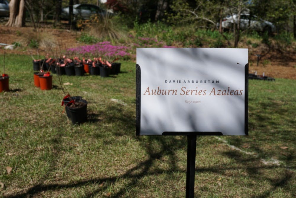 Auburn Series azaleas available for purchase at the Azalea&nbsp;Festival at Auburn University's Donald E. Davis Arboretum on Saturday, March 31, 2018, in Auburn, Ala.