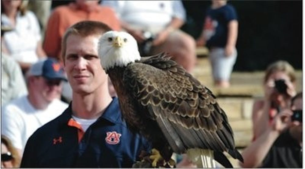 The pre-game eagle flight at Jordan-Hare is a must-see on Auburn game days.