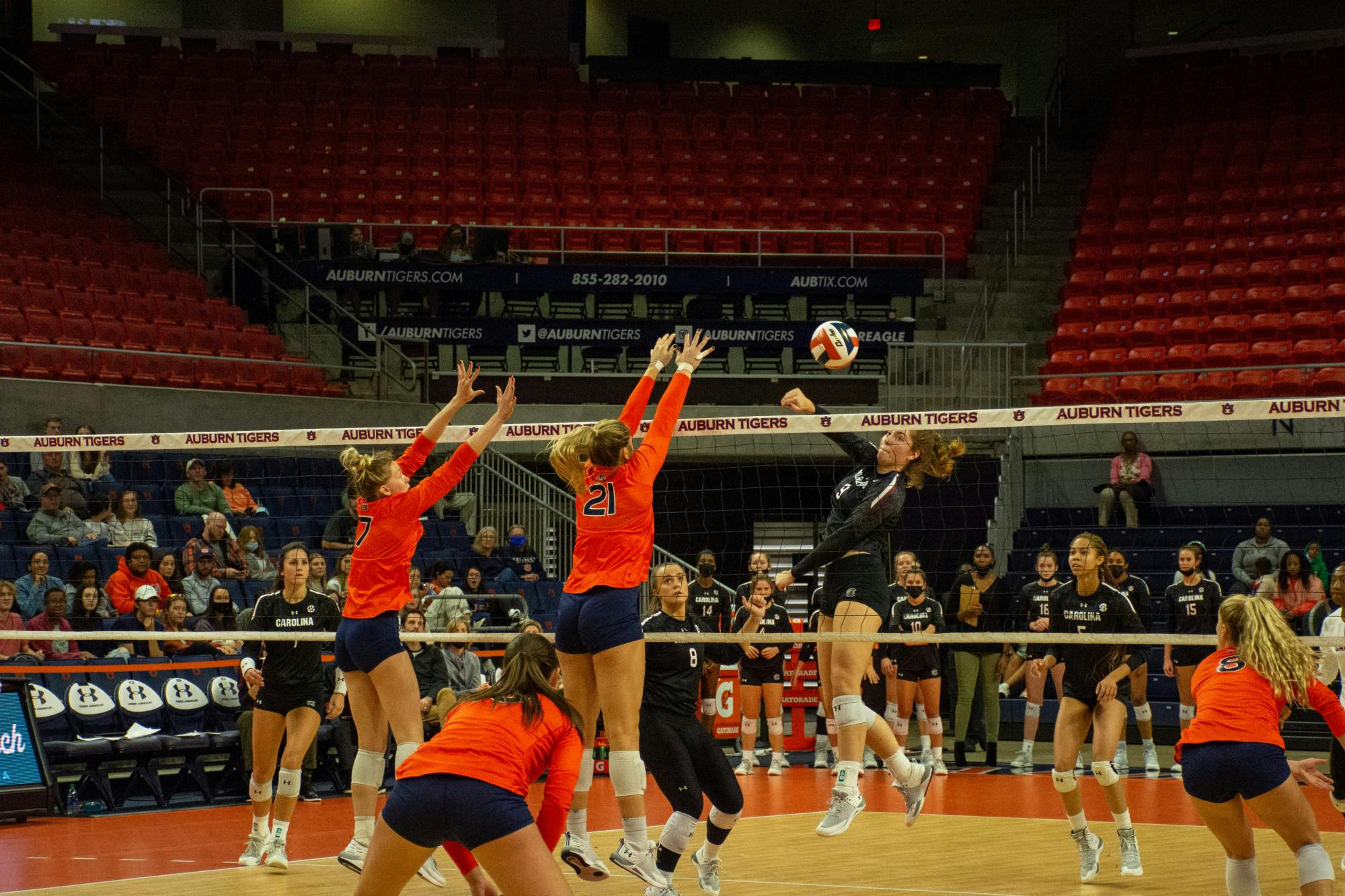 Volleyball vs South Carolina