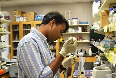 (Danielle Lowe / ASSISTANT PHOTO EDITOR)