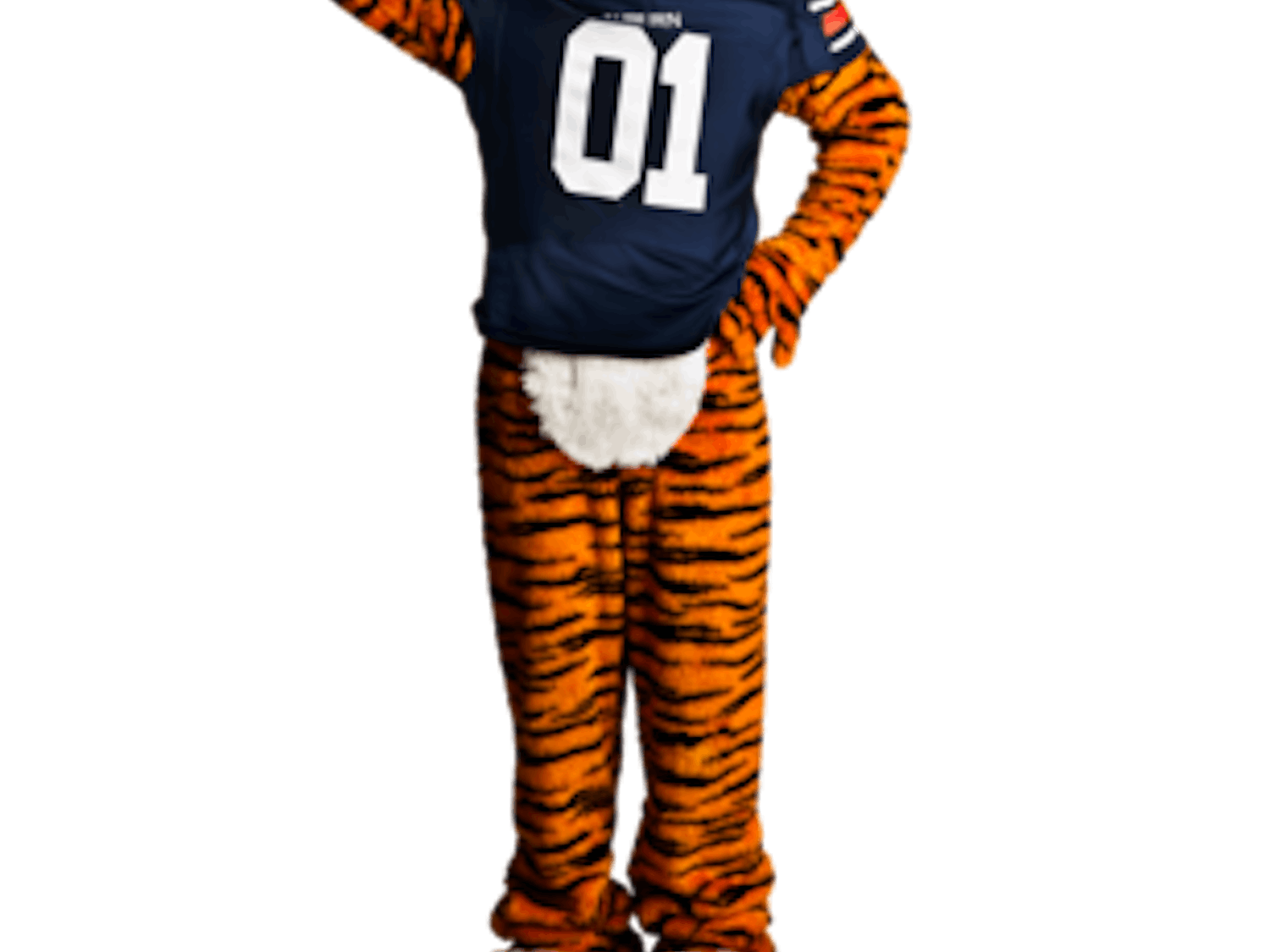 Vote for Aubie #CapitalOneAubie