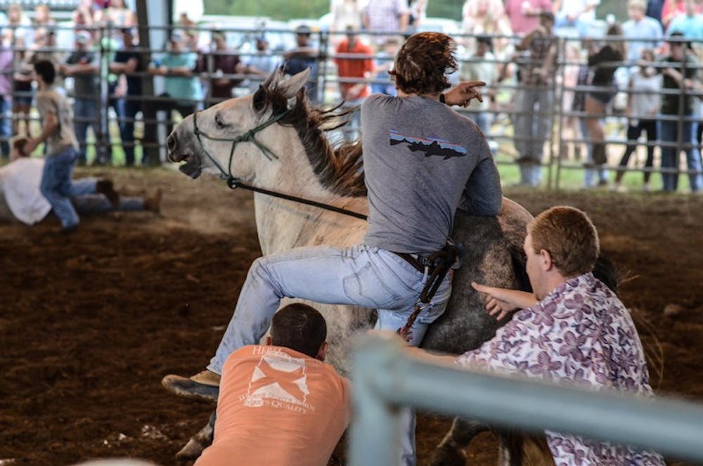 <p>Participants attempt to mount horses at the Alpha Psi Fall Rodeo Classic on Oct. 3, 2014</p>