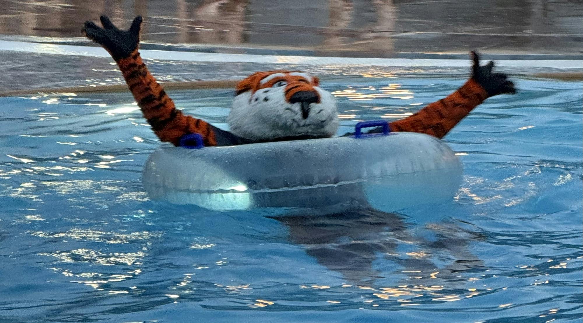 Aubie at polar plunge