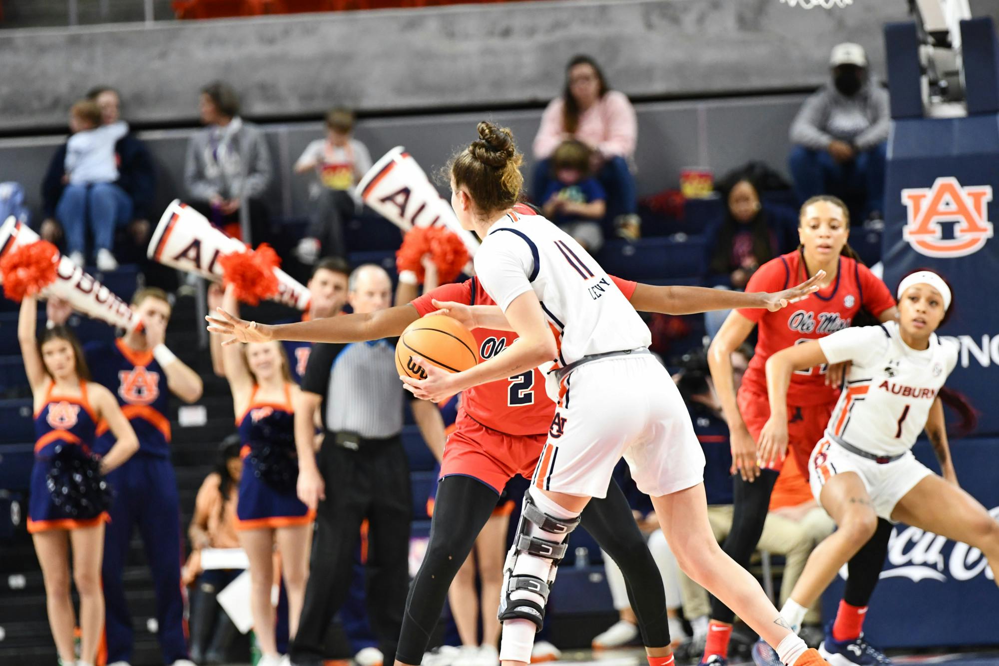  The Auburn Plainsman