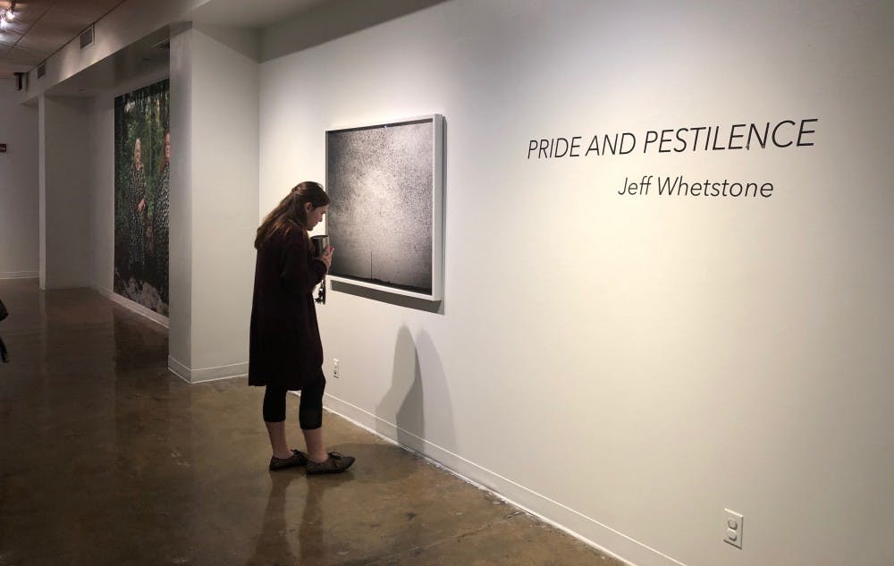 Auburn student views "Pride and Pestilence" by Jeff Whetstone on Thursday, Feb. 1, 2018 in Auburn, Ala.