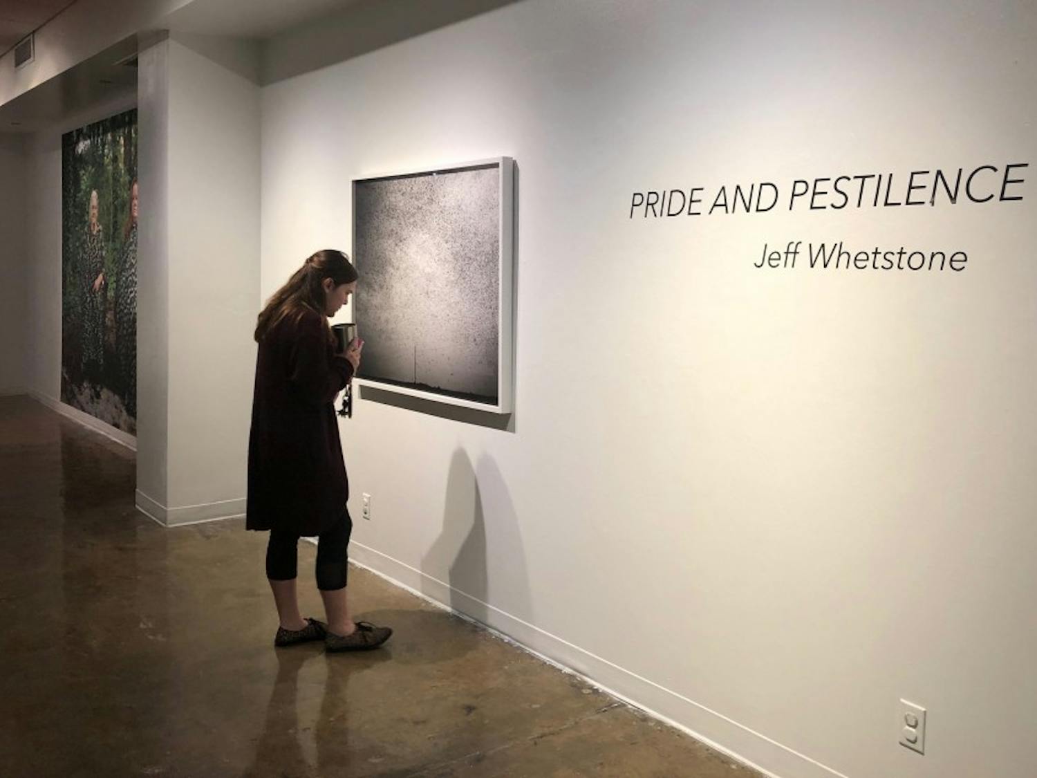 Auburn student views "Pride and Pestilence" by Jeff Whetstone on Thursday, Feb. 1, 2018 in Auburn, Ala.