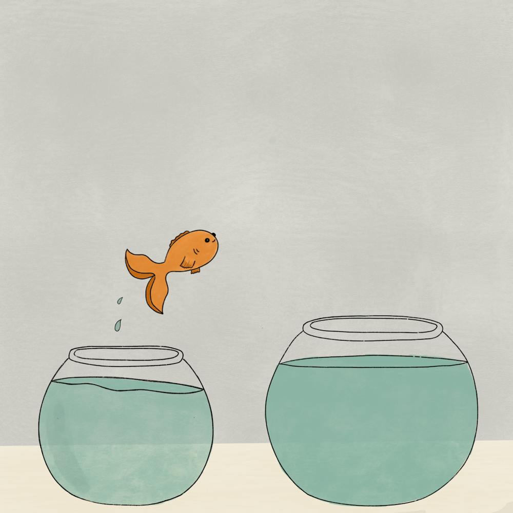 Fish jumping from one bowl to another to represent going out of your comfort zone.