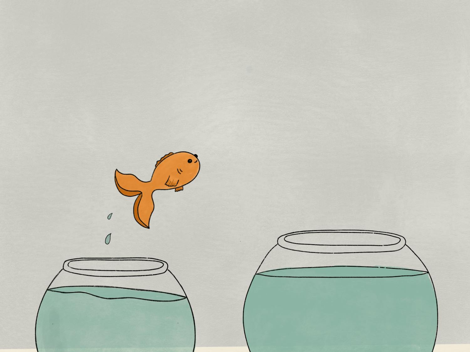 Embarrassing Yourself Graphic