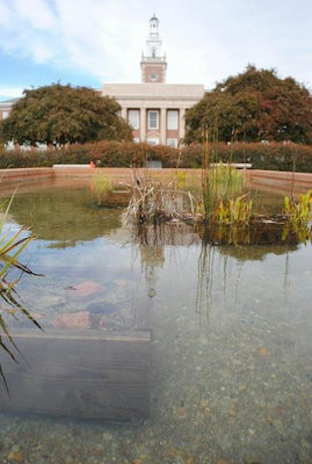 The koi pond is empty after its fish died from a cleaning mistake Nov. 8. (Maria Iampietro / PHOTO EDITOR)