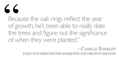 New Toomer's trees have officially taken root PULL-QUOTE