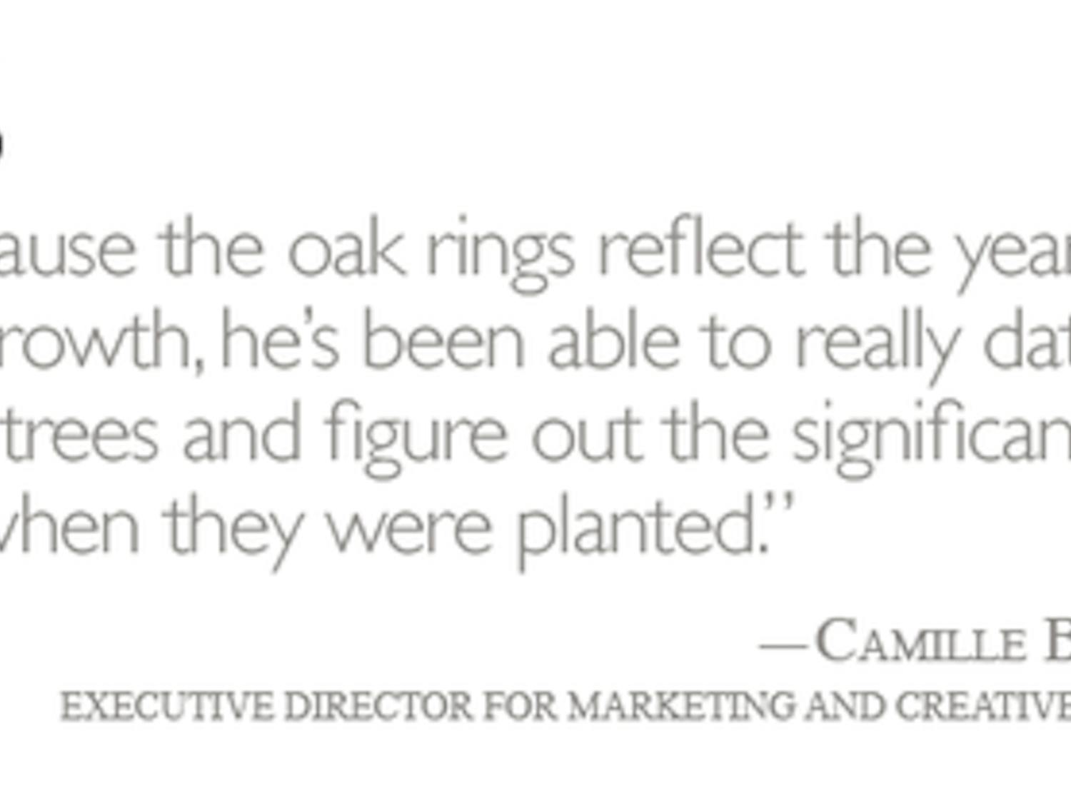 New Toomer's trees have officially taken root PULL-QUOTE