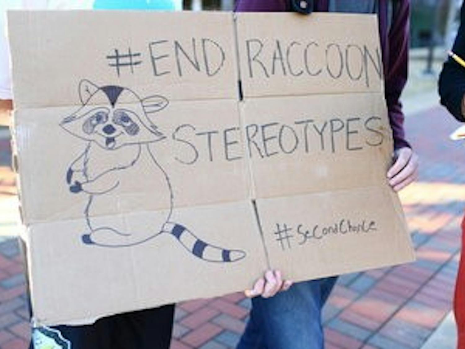 Ending Raccoon Stereotypes