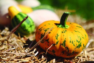 (PHOTO ILLUSTRATION)