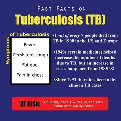tuberculosis graphic