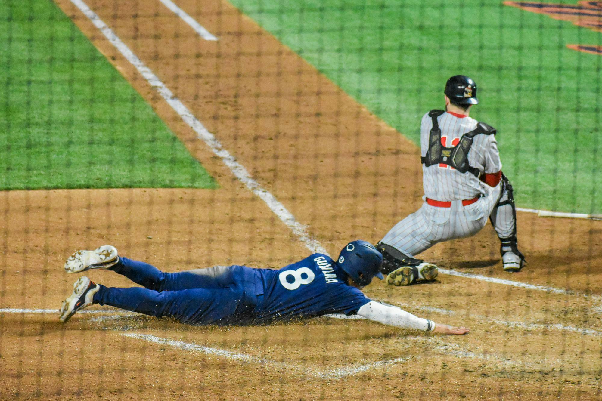 A player in a blue uniform slides headfirst toward home plate while a catcher in gray prepares to receive the ball.