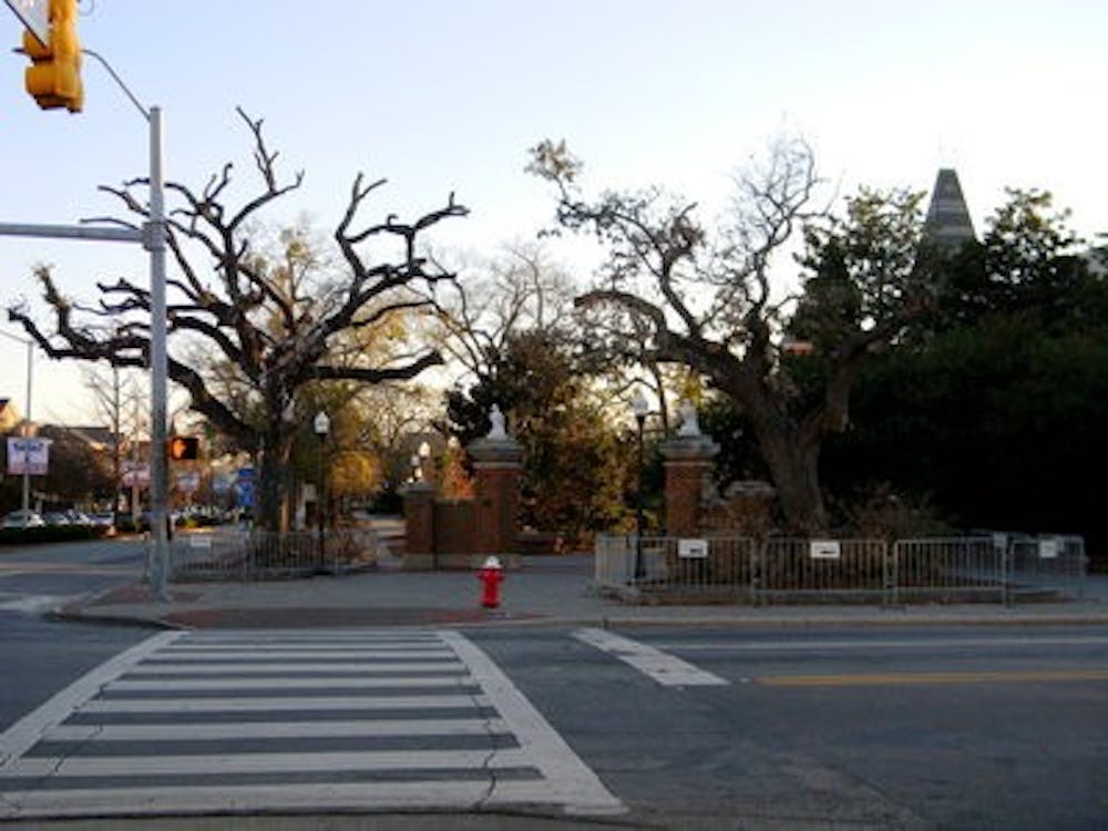 The oaks at Toomer's Corner have stood at the intersection of College Street and Magnolia Avenue for perhaps as long as 130 years. (Coleman McDowell / WRITER)