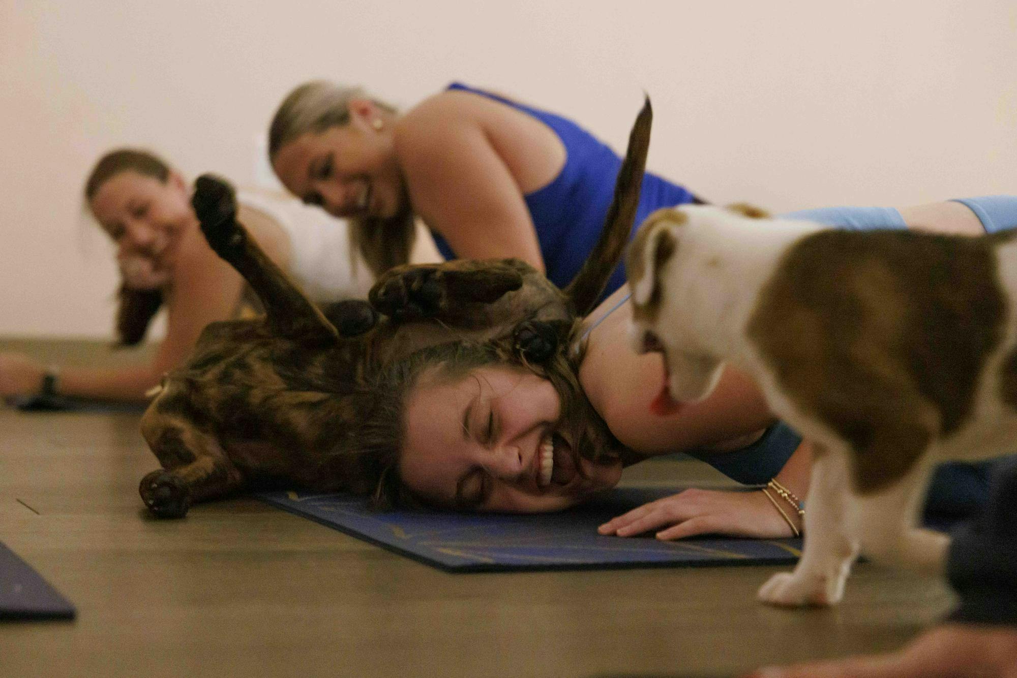 Puppies tumble around Membership Director Neila Stone for Auburn Women in Law during puppy yoga at Be Yoga in collaboration with Auburn Women in Law and CARE Humane Society, March 5, 2026 in Auburn, Ala.