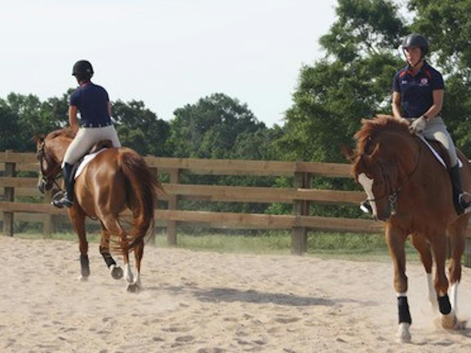 Ashlea Draa/Photo Editor