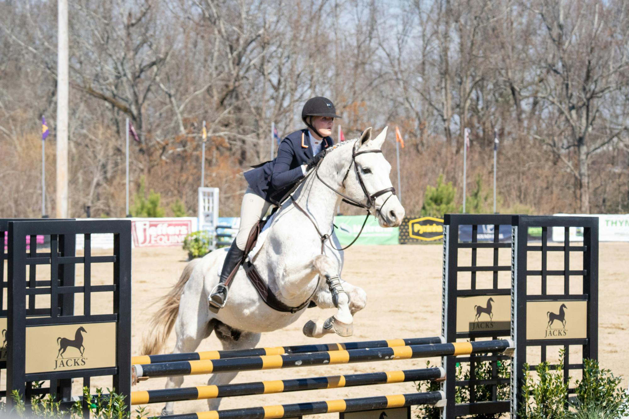 Equestrian v Georgia 3.1.25-5.jpg