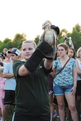 A wildlife science volunteer holds an owl for spectators to see up close. (Maria Iampietro / ASSOCIATE PHOTO EDITOR)