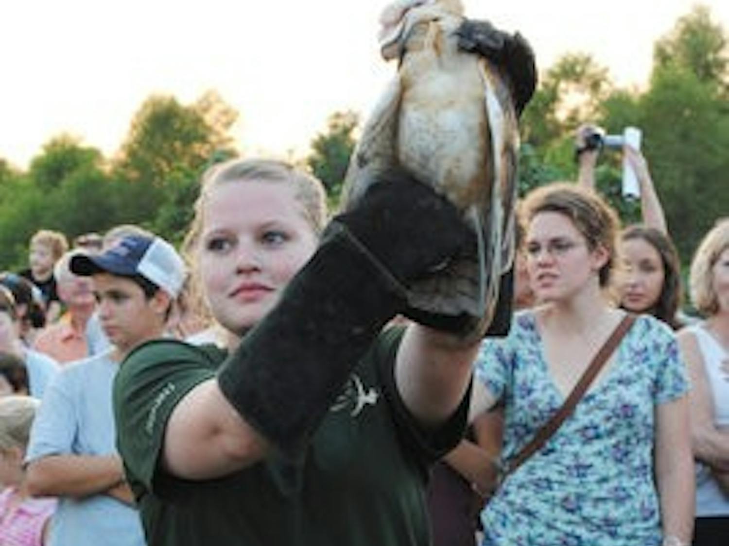 A wildlife science volunteer holds an owl for spectators to see up close. (Maria Iampietro / ASSOCIATE PHOTO EDITOR)